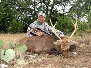 Texas sika deer hunting trips