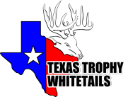 Hunt Texas Whitetails