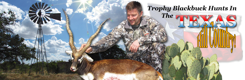 Trophy Blackbuck Hunts In Texas