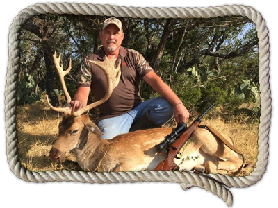 Texas fallow deer hunts