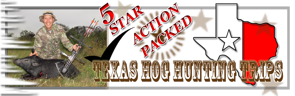 Hunting wild hogs in Texas