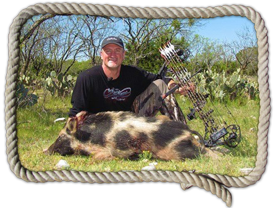 Texas hog hunts