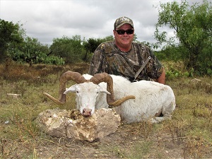 Texas Dall Sheep Hunts