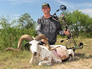 Trophy ram hunting in Texas