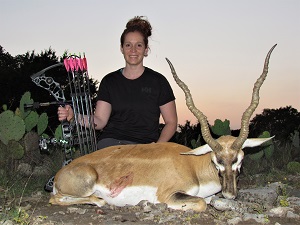 Hunt trophy blackbuck antelope in Texas