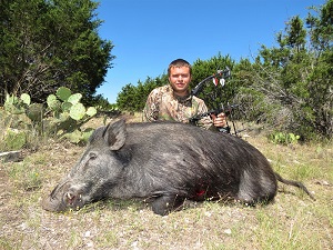 Texas Hog Hunts