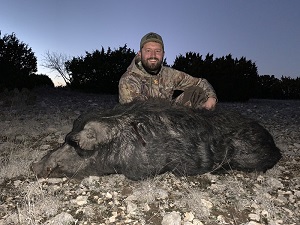 Hog Hunting In Texas