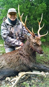 Hunting sika deer in Texas