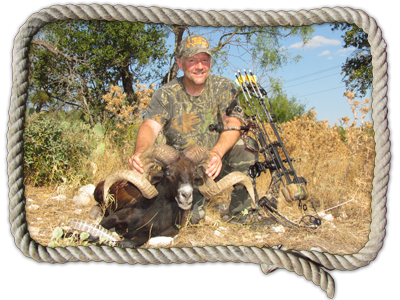 Texas ram hunts