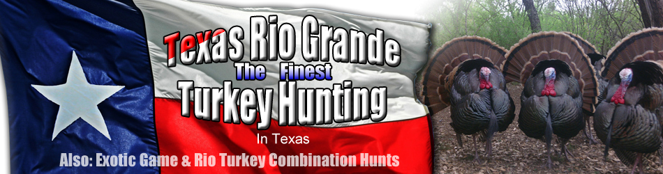 Rio Grande turkey hunts in Texas