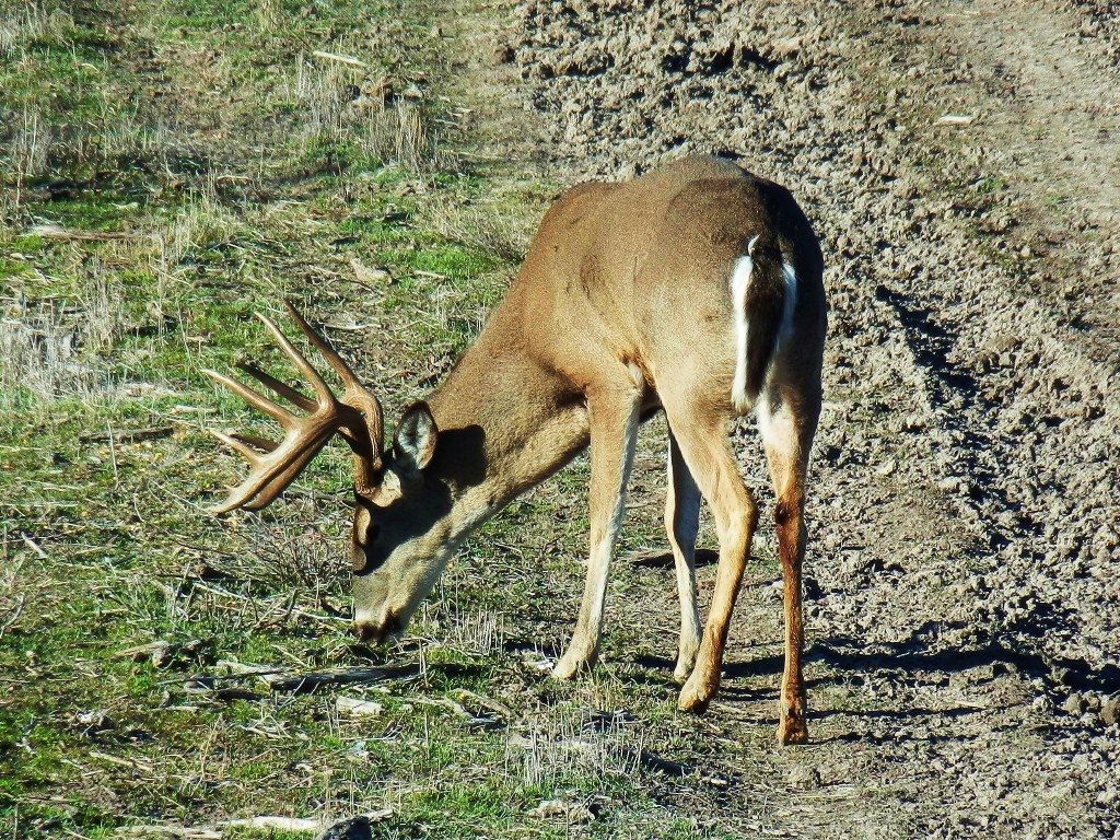 News From The Field