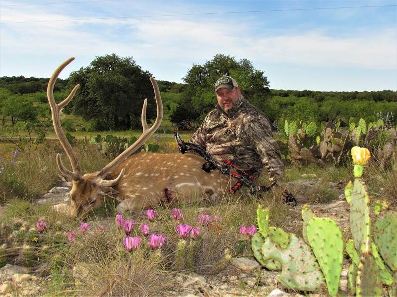 Texas Exotic Hunting Stories