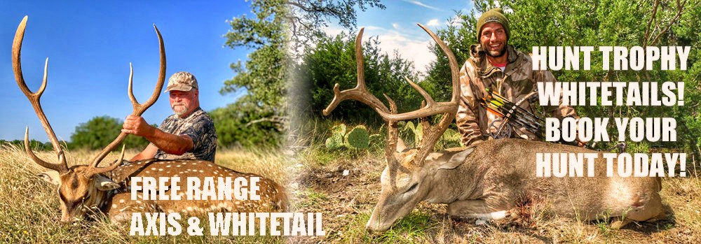 Whitetail Deer Slides