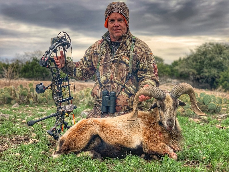 Texas ram hunting trips | Exotic game hunts
